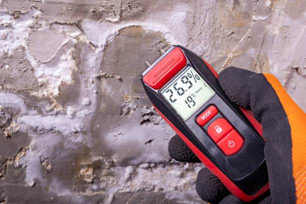 Best Emergency Mold Remediation in Sarasota, FL